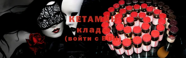 крисы Аркадак