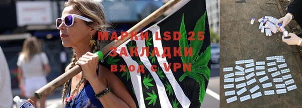 крисы Аркадак